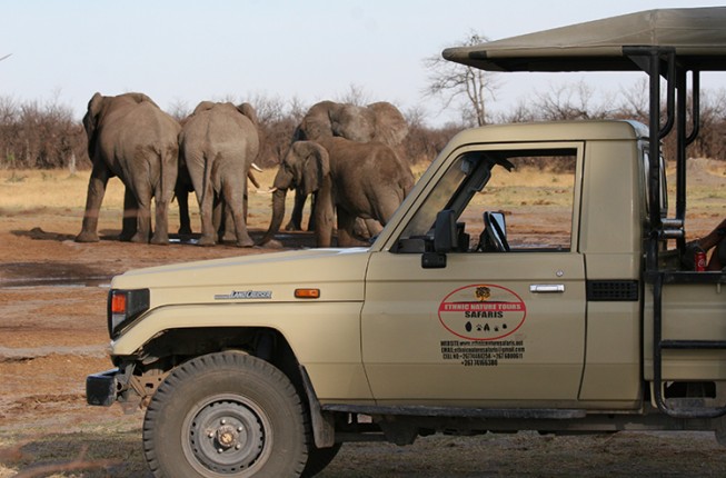 Enthralling Moremi Game Reserve Full Day Tour